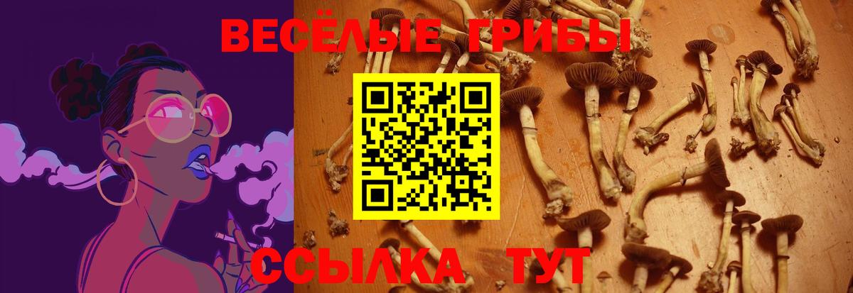Советский  Галлюциногенные грибы Cubensis  Вход с VPN 